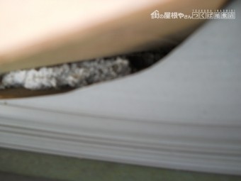 雀退治工事