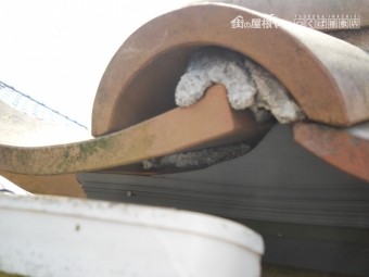 雀退治工事