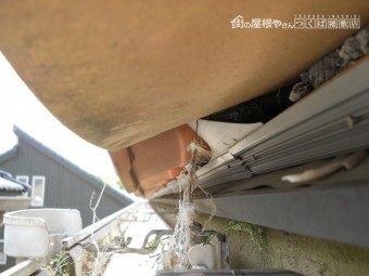 雀退治工事