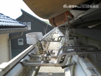 雀退治工事