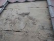屋根工事