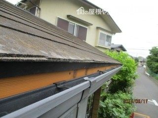 鼻隠し交換1