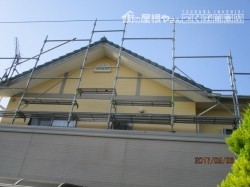 スズメ対策4