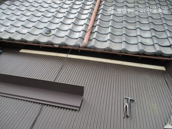 長谷川2