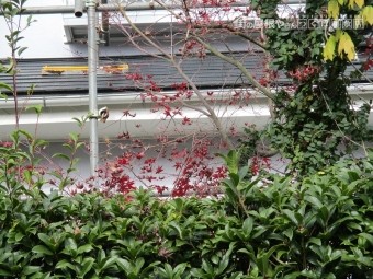 阿見町2