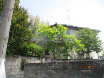 雨樋枯葉除け工事