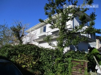 田1