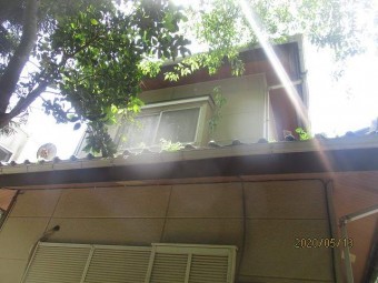 枯葉除けネット工事