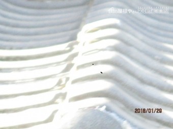屋根葺き替え工事