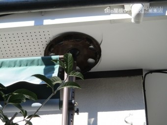 塩月5