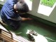 ベランダ防水工事1