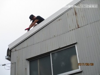 台風被害