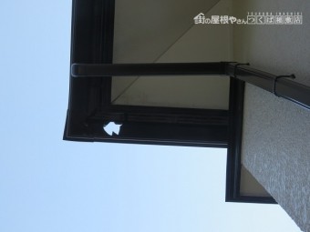 樋被害4