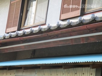 安田2
