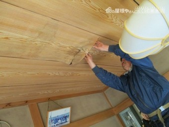 安田2