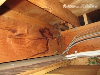 安田6