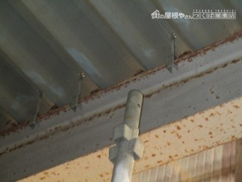 大野2