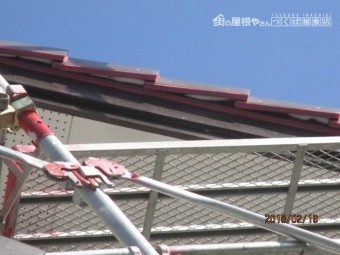 雀対策工事
