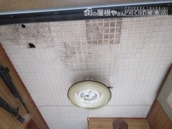 玄関天井1