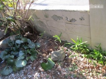 ブロック塀補修