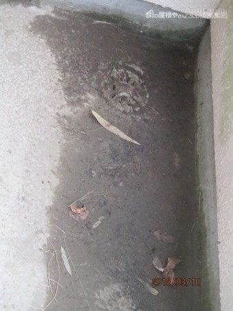 ベランダから雨漏り