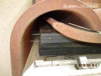 雀退治作戦