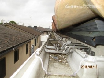 雀退治作戦