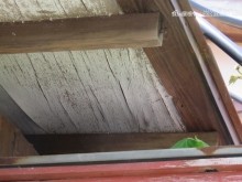 霧除け被害