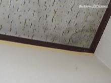 雨漏り工事