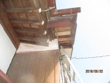 ムク鳥退治工事