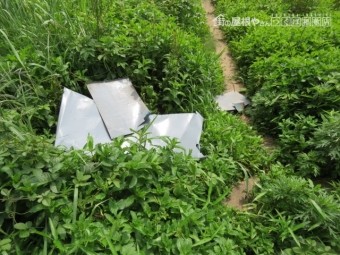 雨漏り工事現場