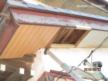 ムク鳥退治工事