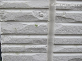 外壁剥がれ被害
