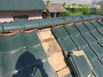 雨漏り被害