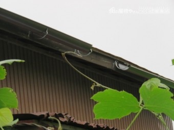 雨樋交換工事