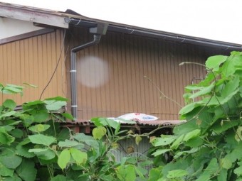 雨樋交換工事