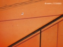 日除けテント被害