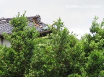 震災被害瓦工事