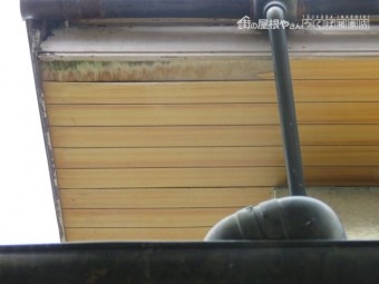 軒天被害