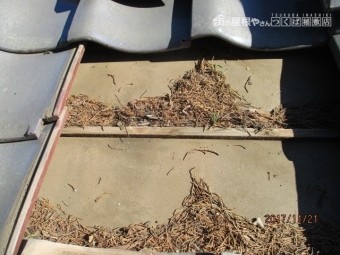 雨漏り防止工事