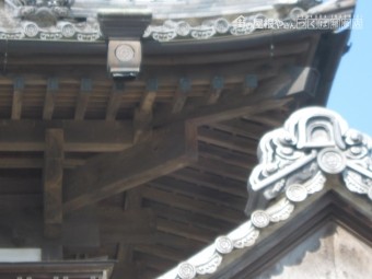 おみたま1