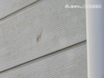 台風24号被害