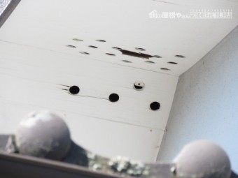 台風被害