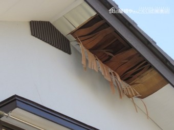 台風被害