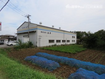 台風被害