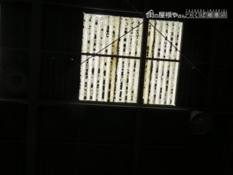 台風被害