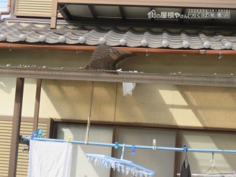 台風被害