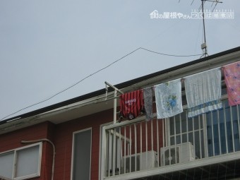 福田1