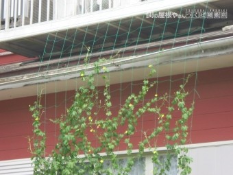 福田2