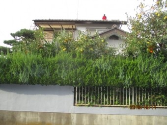 屋根塗装